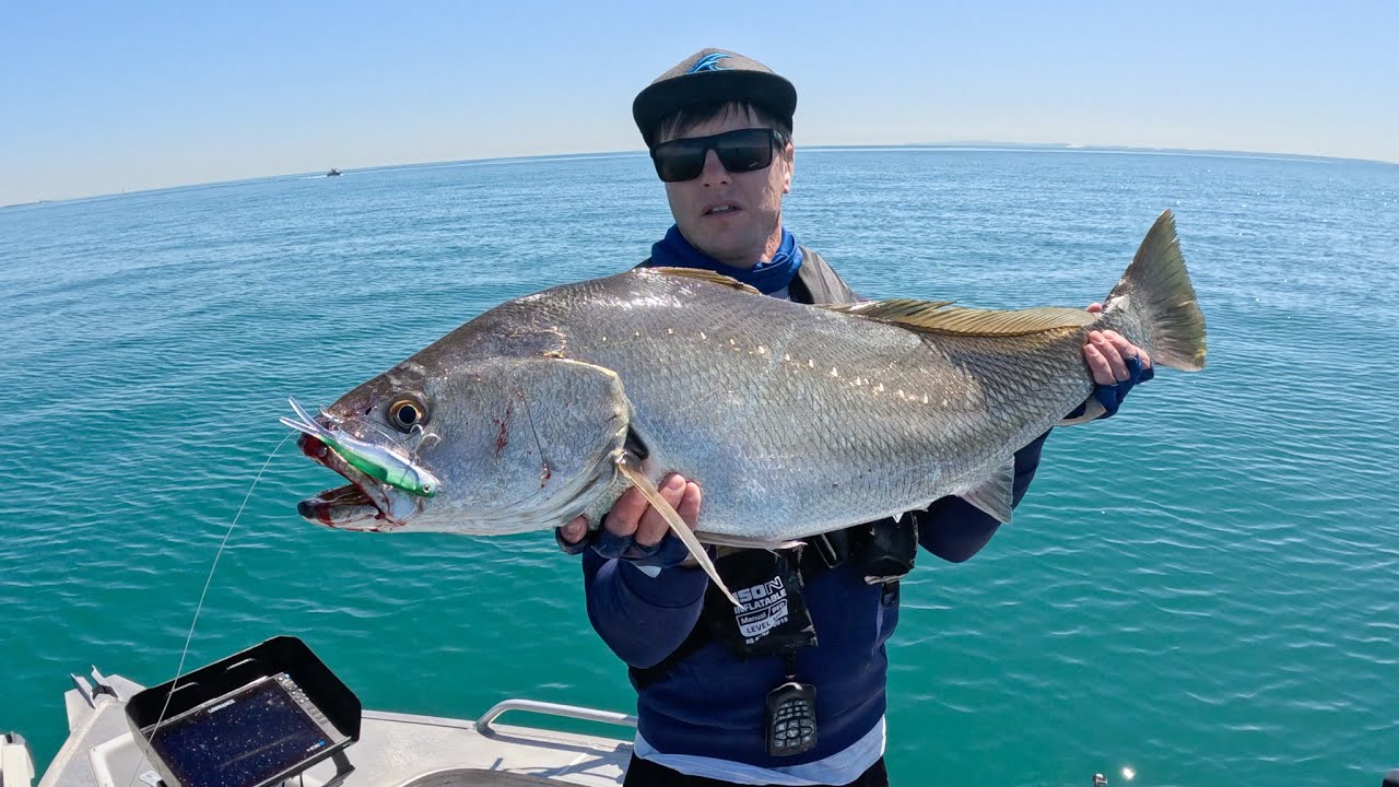 Fishing Moreton Bay! - Reef, Deep Water & Flats!