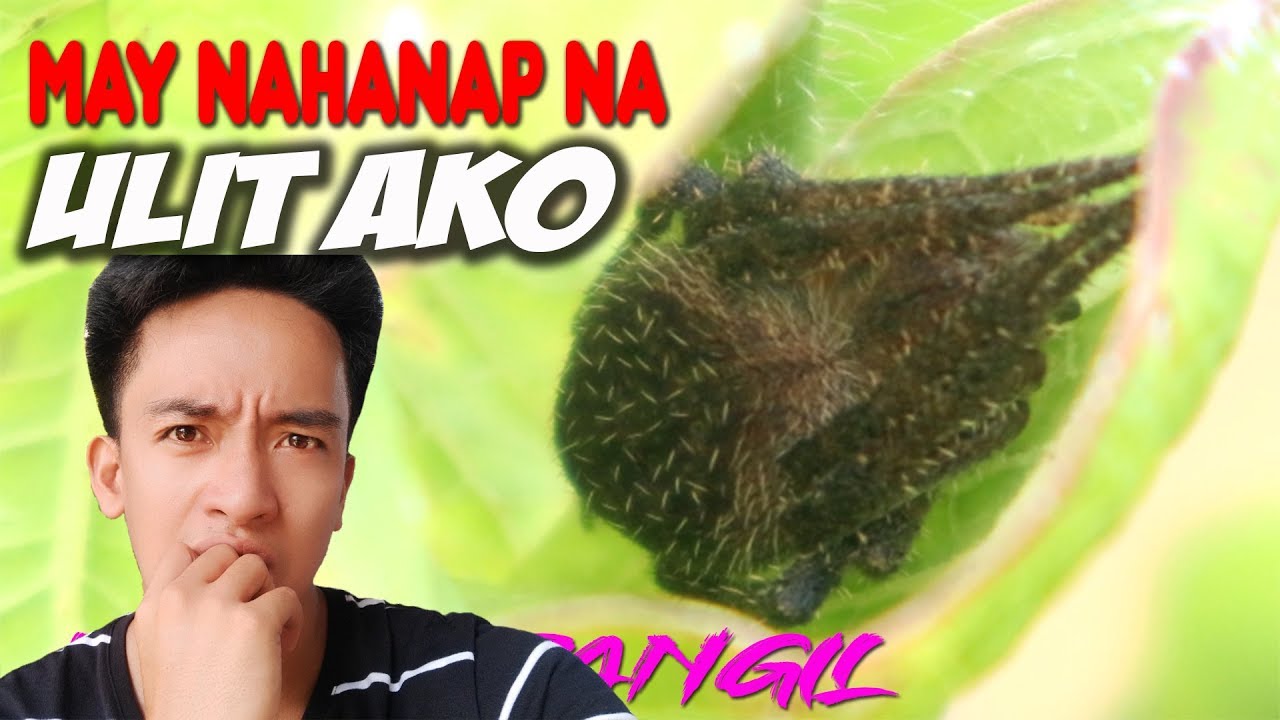 DALAWA LANG ANG INUWI KO PERO SOLID NAMAN