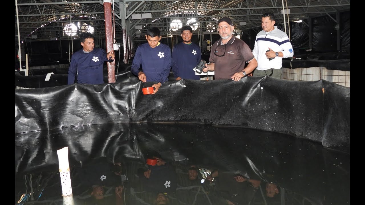 Boost Broodstock Health! 🦐 Enhanced Handling Method for Frozen Ocean Polychaetes