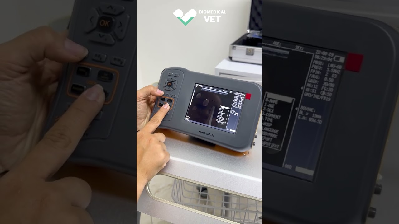 Realizando mediciones con el ecógrafo portátil FarmScan L60