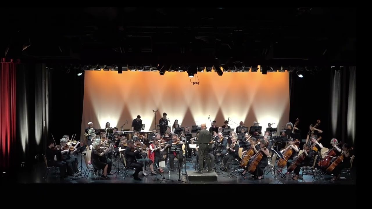 John Williams - Harry Potter Highlights
