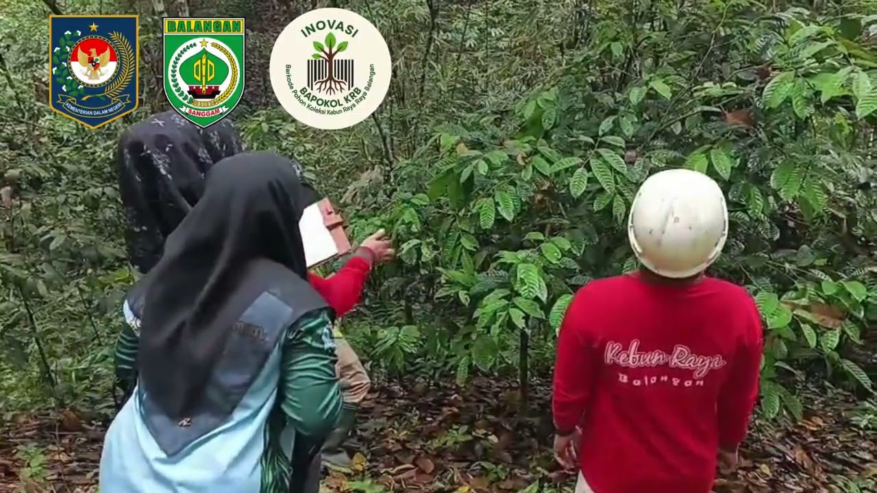 Inovasi Daerah Balangan
