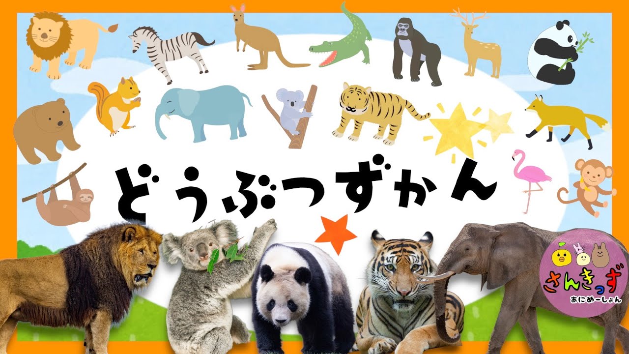 【赤ちゃん・子供向け 動物アニメ 】どうぶつずかん で 動物を探そう☆パンダ ライオン コアラなど人気の動物が16種類登場するよ【動物図鑑】