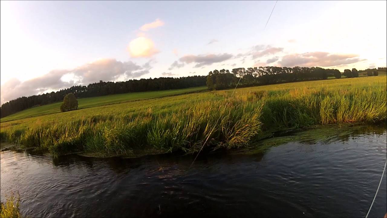 Havørred 75cm 5,1kg Simested å AALF 30.07.16