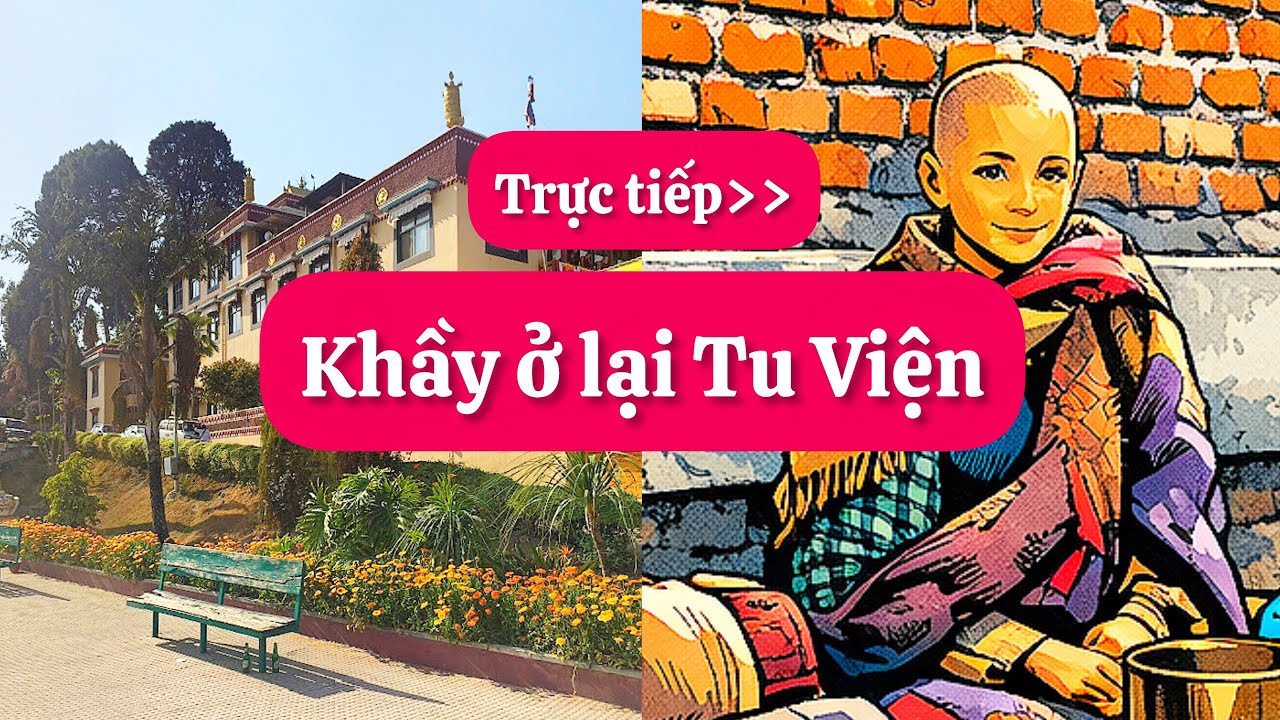 Trực tiếp: Khầy đã ở lại Tu Viện - Lạc đợi Thầy ở Biên Giới Malaysia với Thái 🍋‍🟩 #tructiepsuminhtue