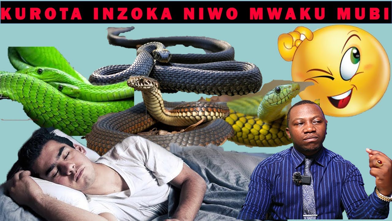 KUROTA INZOKA,