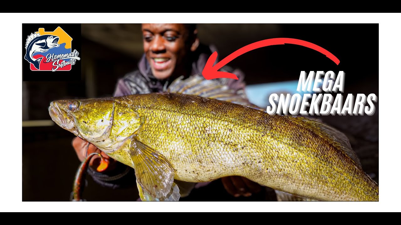 IK VANG MIJN PR SNOEKBAARS 🎣🔥 !!! Vissen in Maart.