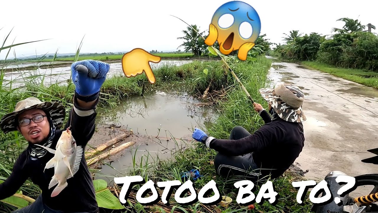 Kanal lang na dinaanan ng baha maraming isdang malalaki | Buhay probinsya