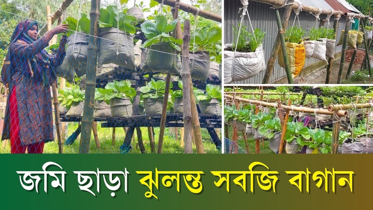 স্বামীর অনুপ্রেরণায় সানজিদার ঝুলন্ত বাগান | Hanging Garden | কৃষি রূপ