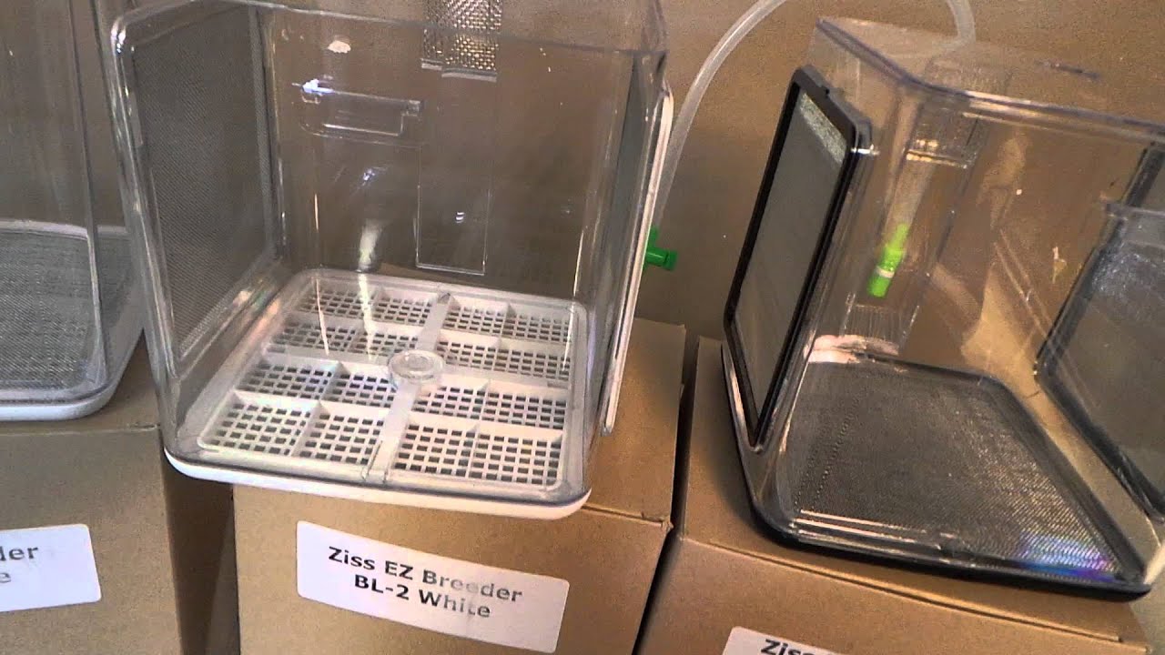 Ziss breeder boxes