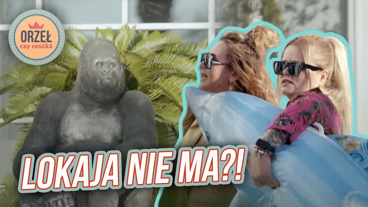 TU JEST JAKBY LUKSUSOWO! Dziewczyny trafiły do raju...🏰 | Orzeł, czy reszka?