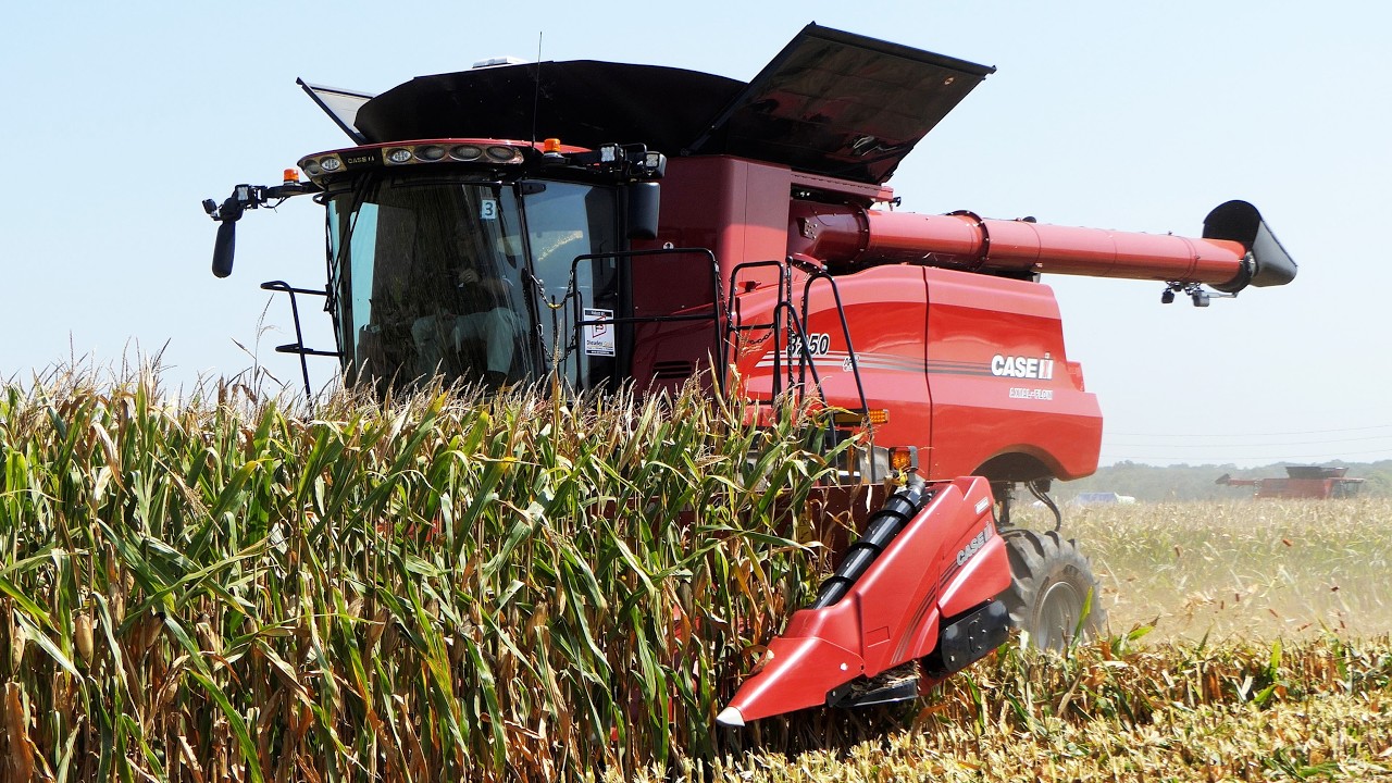Case IH Axial-Flow AF10 & 8240 & 8250 & 9230 in The Field harvesting Corn | Big Farming