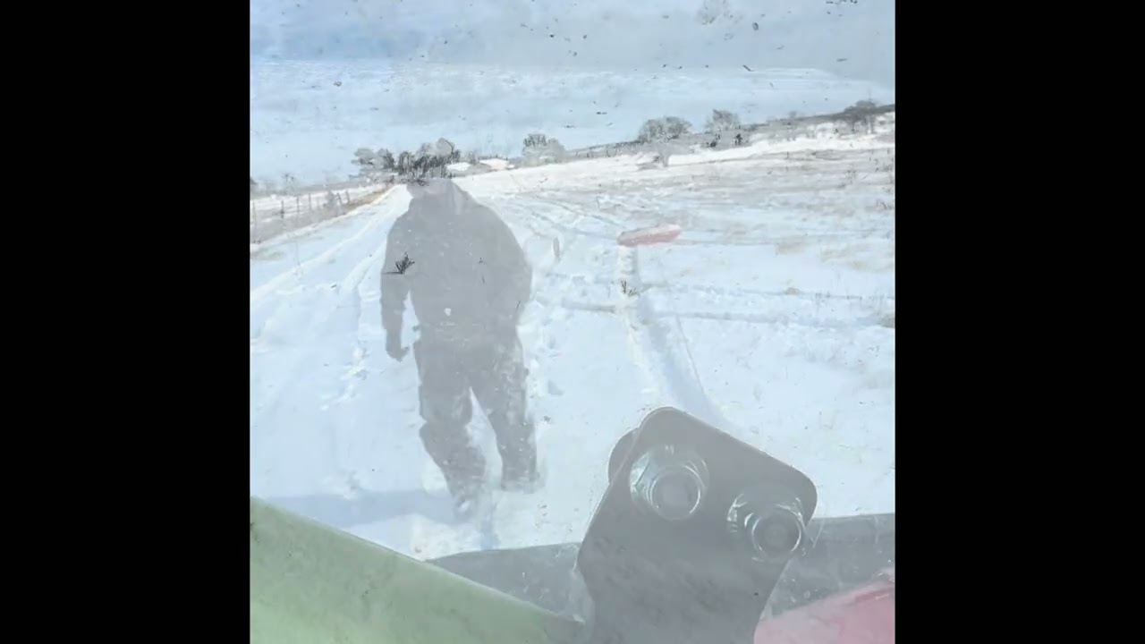 Oklahoma January snow storm 2026, feeding cows and playing in the snow