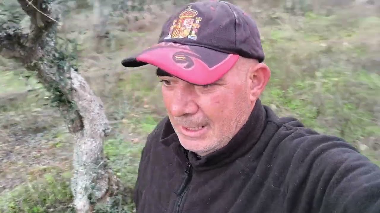 Hasta los corzos cazan ya las alimañas, mirar mirar 