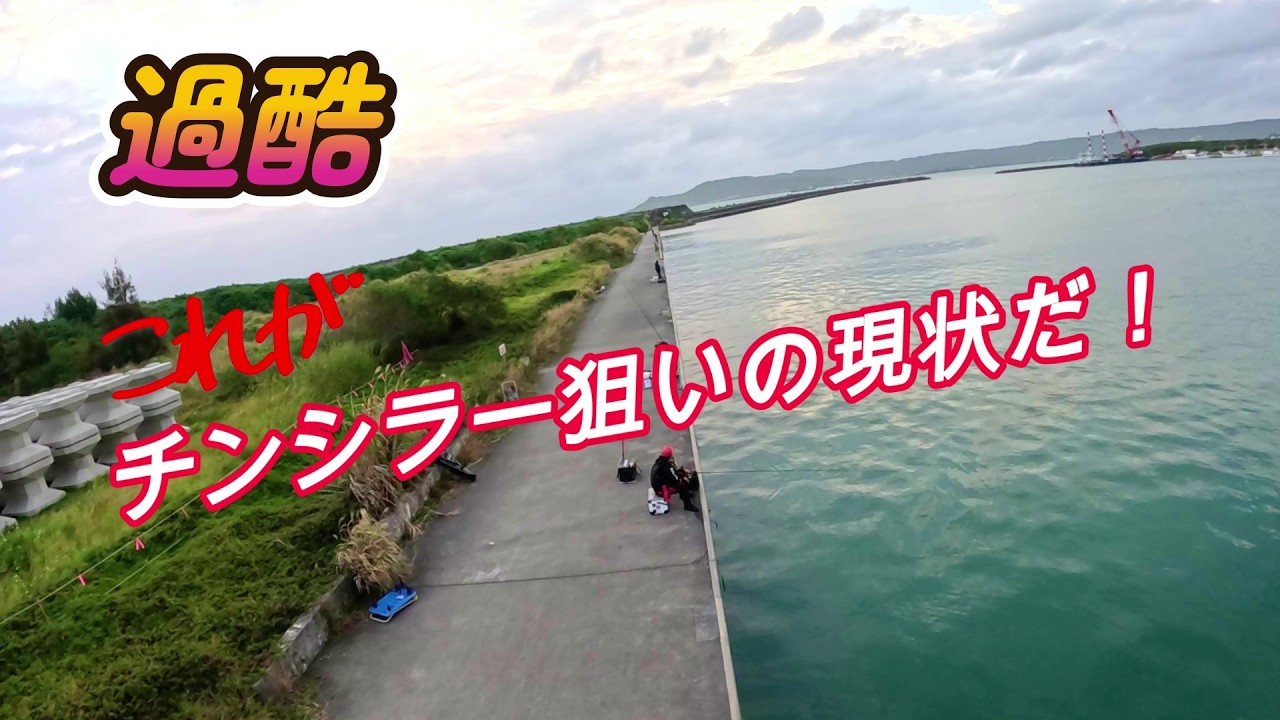 【過酷】これがチンシラー狙いの現状だ！【沖縄釣り】