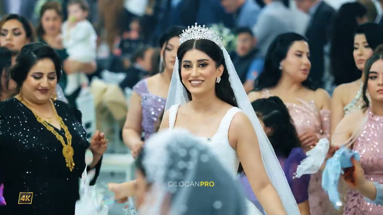 Tarek Shexani /Lauin & Serleen Lauand & Evin / Part06 / Evendeko / Kurdische Hochzeit by #DilocanPro