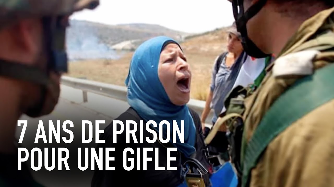 Palestine : La peste blonde - L’Effet Papillon