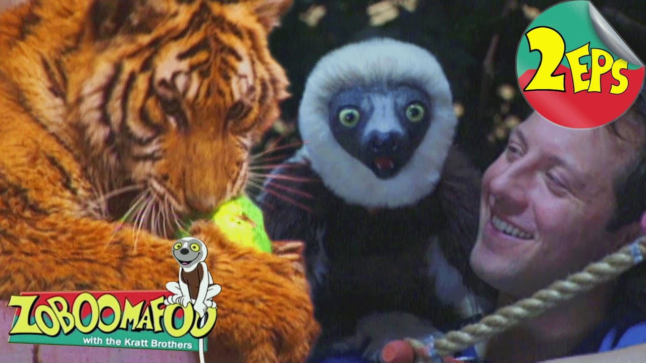 Pop Goes the Tiger + Fearfest | Zoboomafoo - Double Feature | Full Episodes 45 + 46