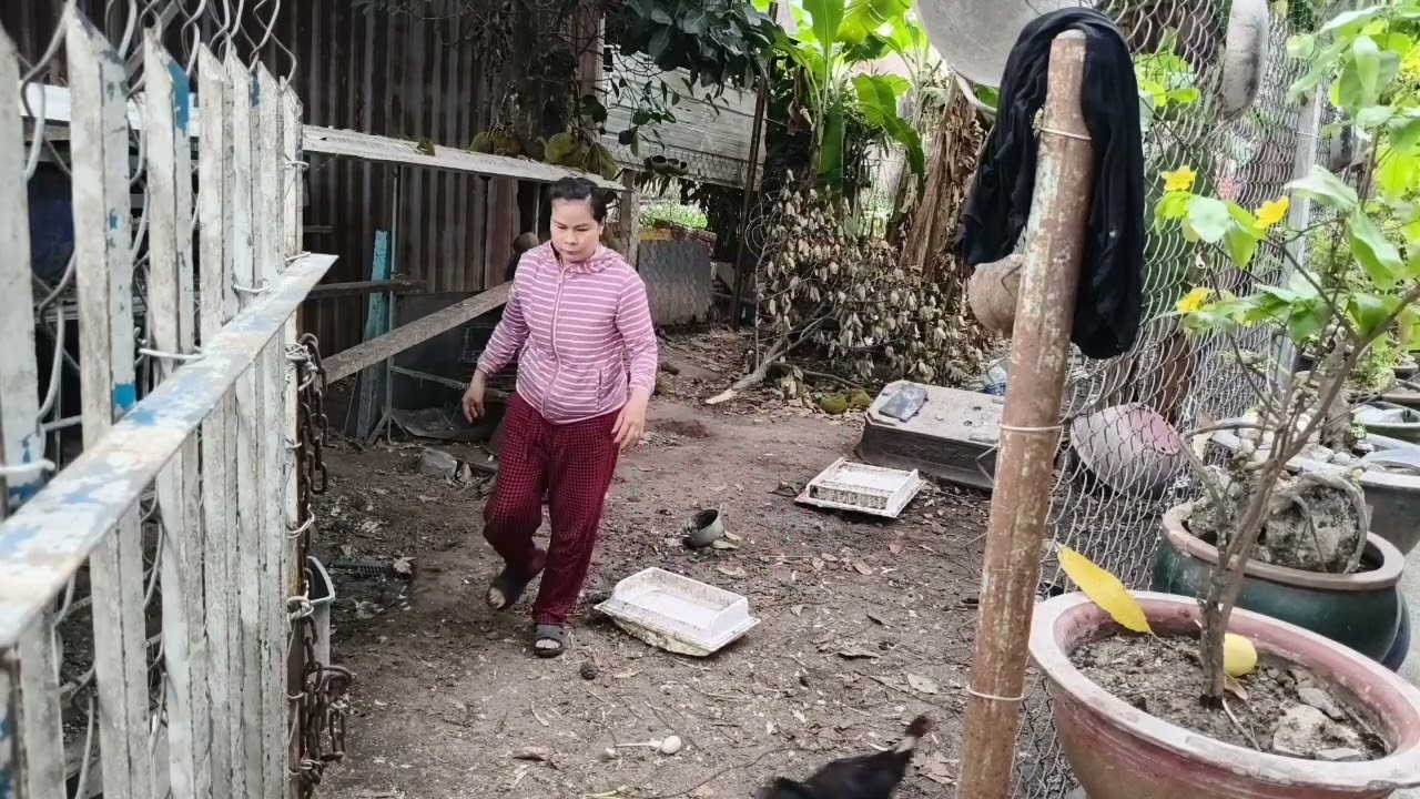 Mùng 5 Tết của Thủy...