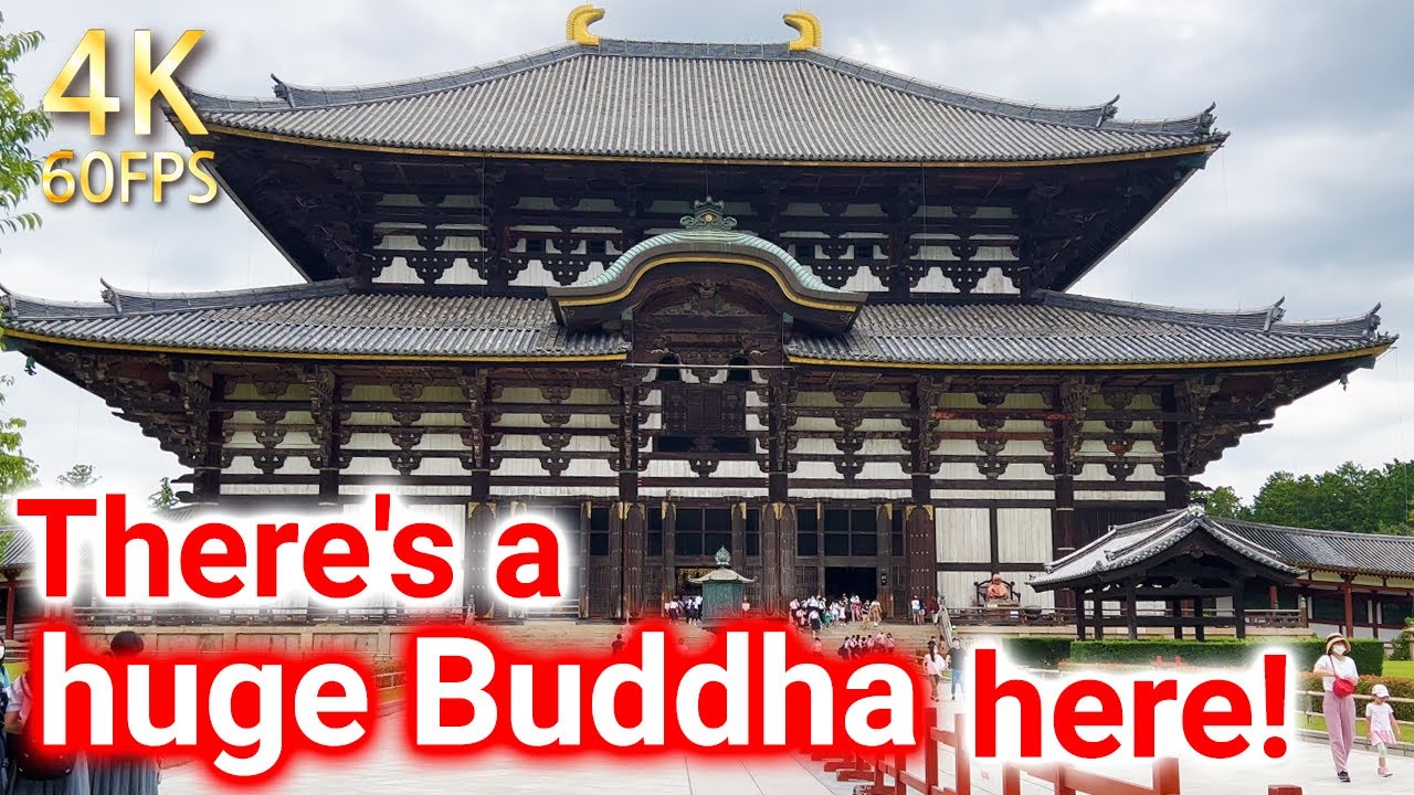 [Todaiji Temple 東大寺] Todai-ji Temple, famous for the world-famous Great Buddha