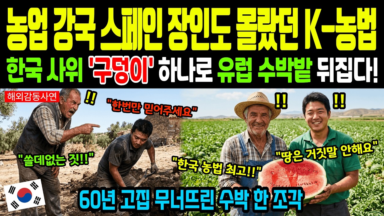 [해외감동사연] 
