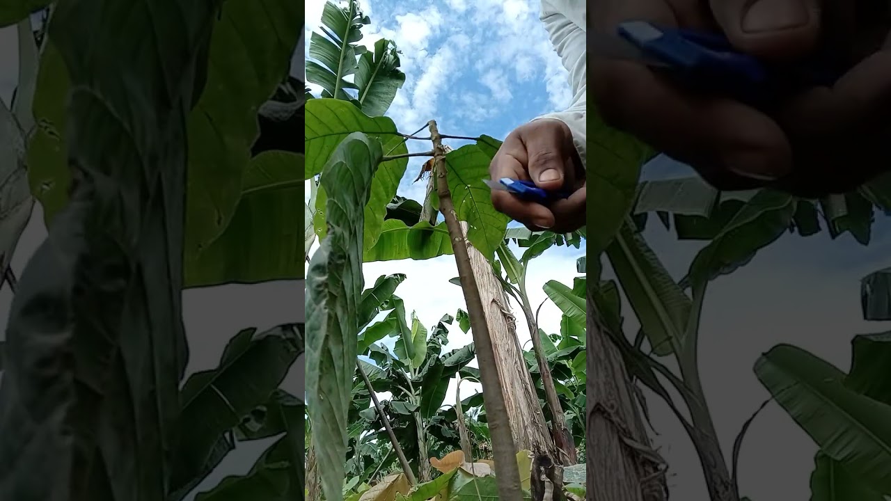 21 de febrero de 2026