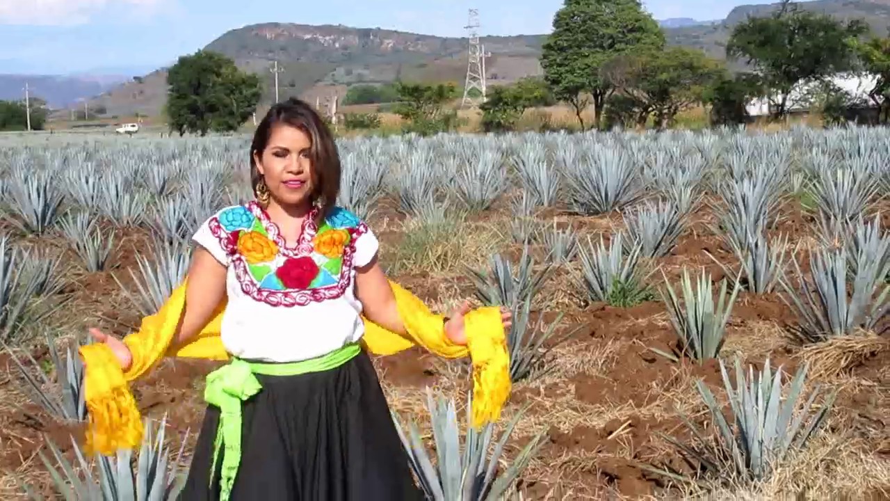 Rebozo De Santa Maria - Blanca La Tapat&iacute;a