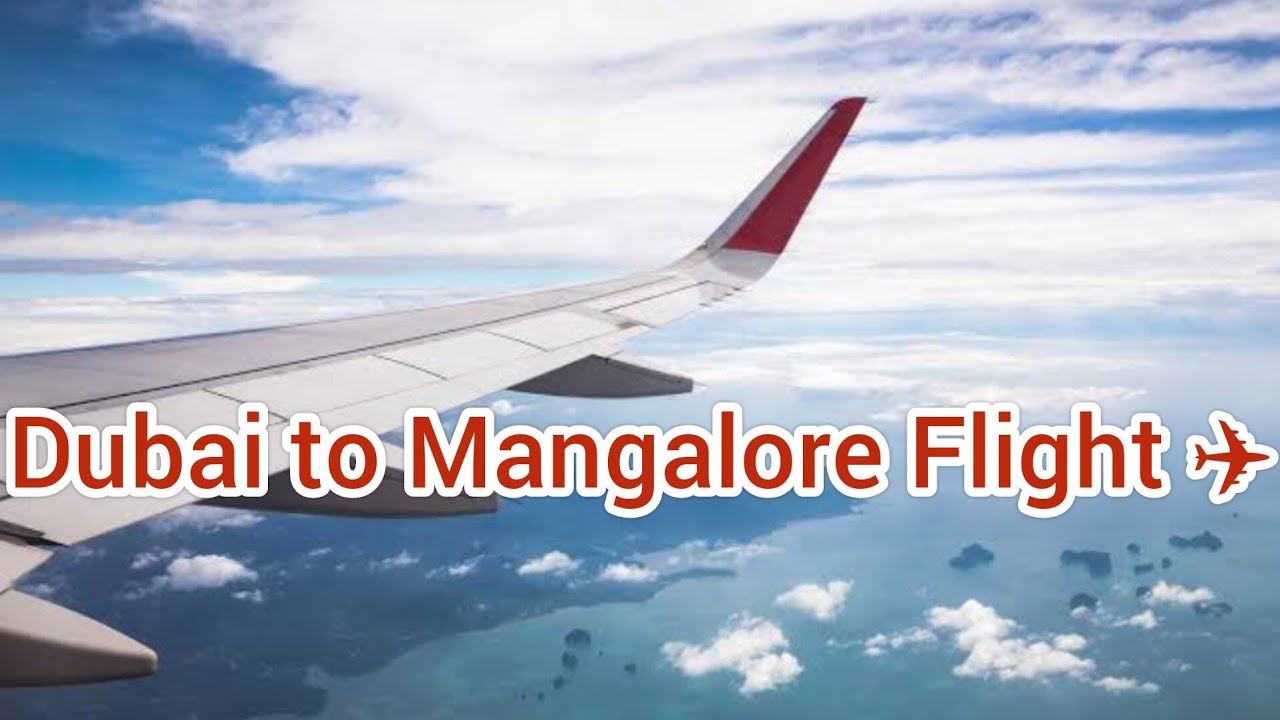 Dubai to Mangalore flight ✈️