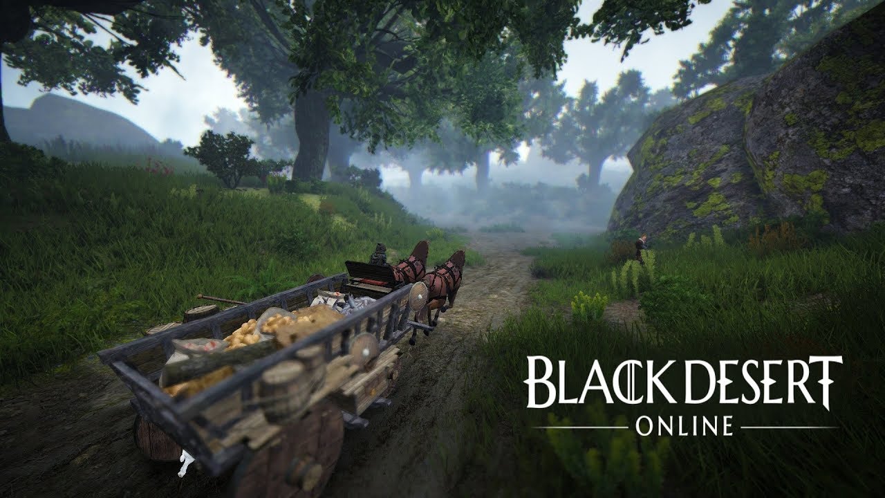 5 Arten in Black Desert Online Geld verdienen 💰 5. Art: Handel