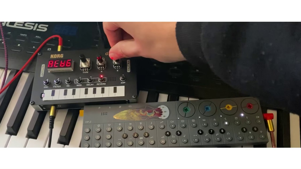 Korg NTS-1 Albedo granular reverb and OP-Z ambient jam