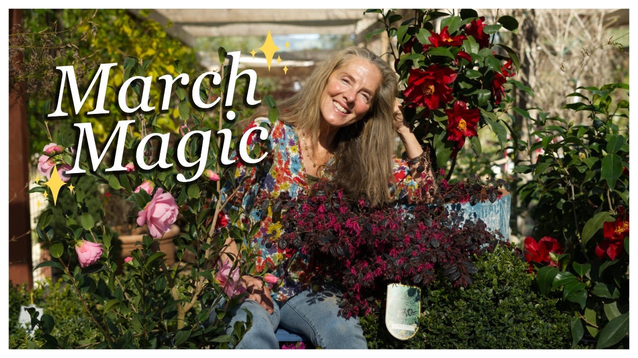 March Magic:  Spring into Action and Watch Your Garden Flourish! 🌼🌱💚 #gardenadvice #gardening