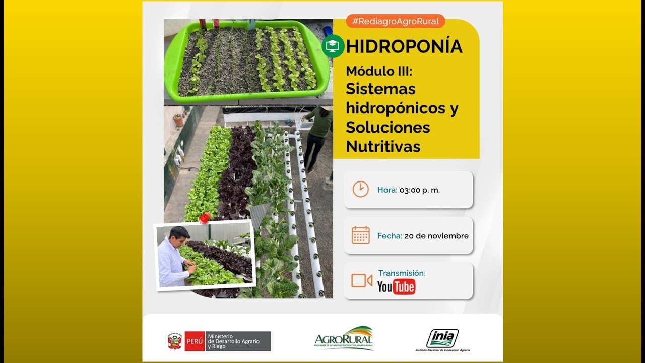 Hidropon&iacute;a  M&oacute;dulo III: Sistemas hidrop&oacute;nicos y Soluciones Nutritivas 20.11.2025