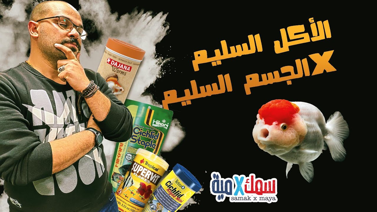 الأكل السليم في الجسم السليم - التغذية السليمة لأسماك الزينة