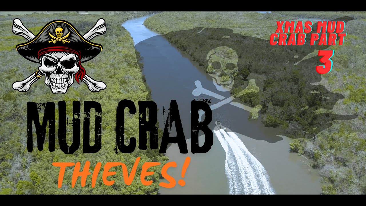 MUD CRAB THIEVES! ☠️ Poachers!! #poacher #mudcrab #boating #catchandcook