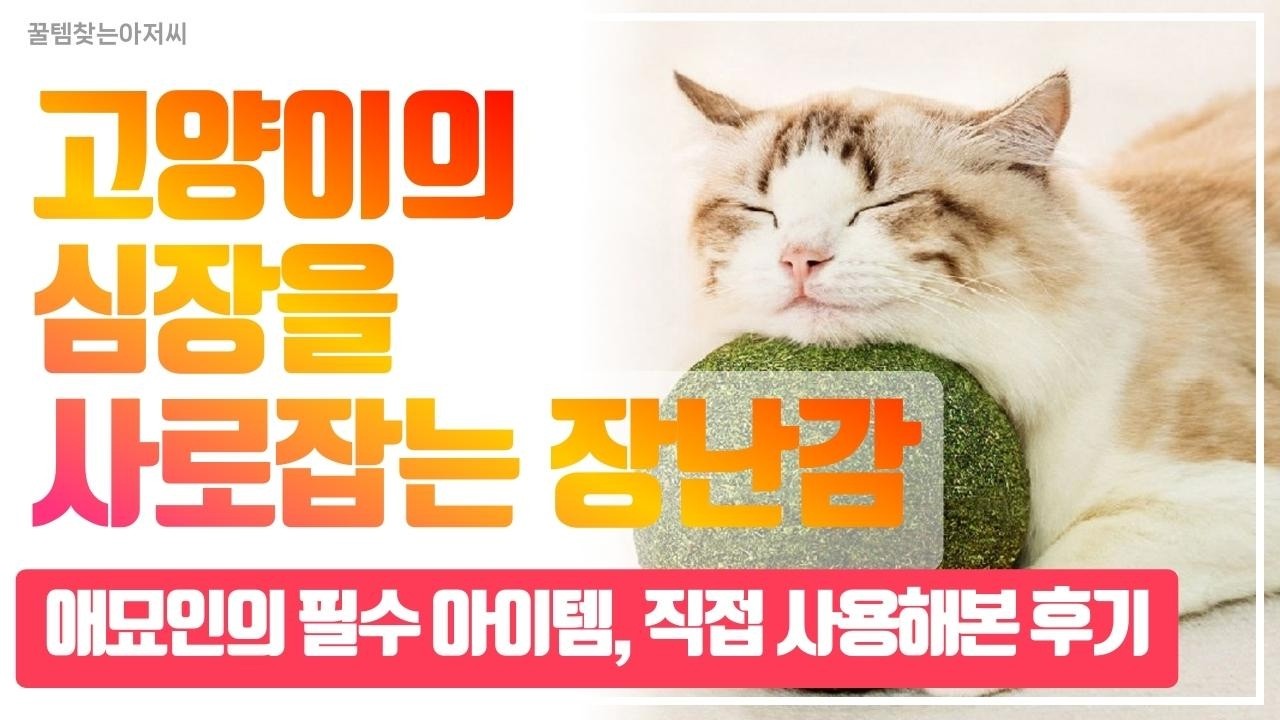 캣닢의 마법! 고양이를 미치게 만든 대왕 장난감 실험