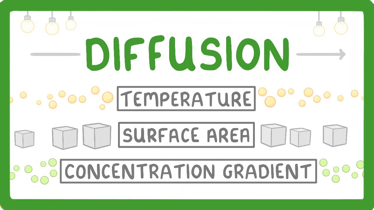 What is Diffusion? How Does it Work? What Factors Affect it? (2026/27 exams)