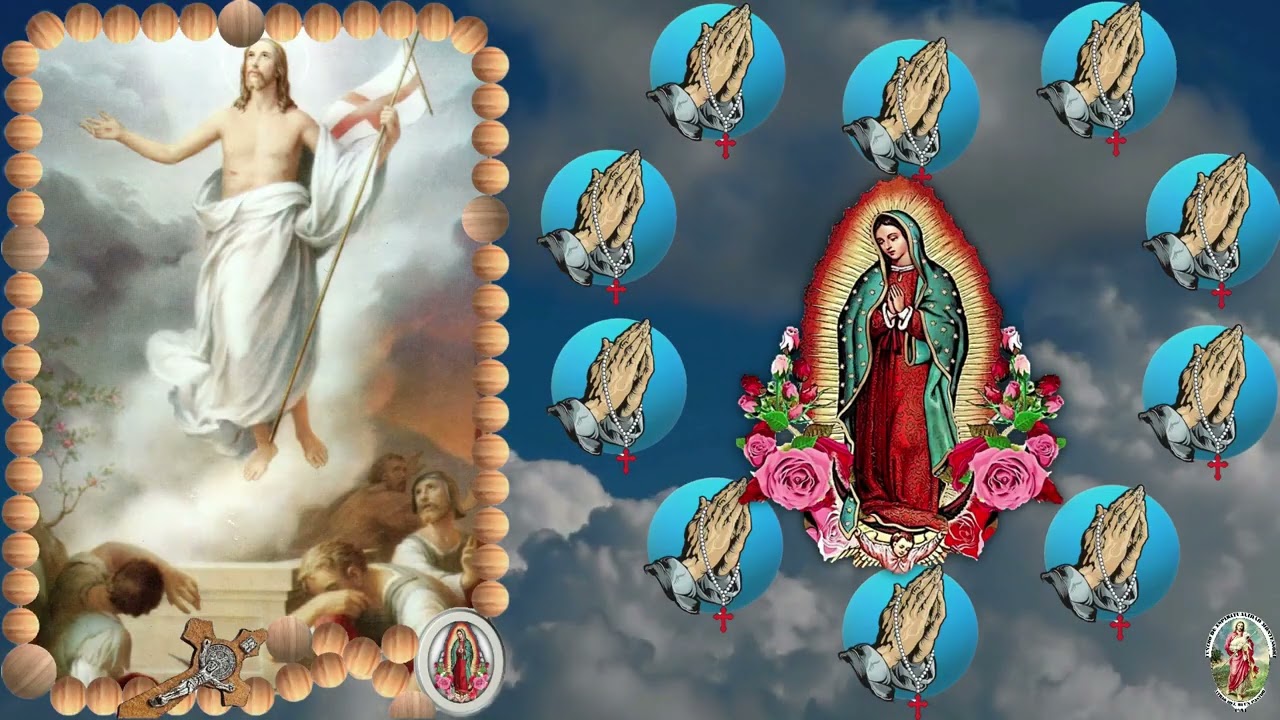 SANTO ROSARIO MISTERIO GLORIOSO † Lectura del santo Evangelio según san Mateo (5, 1-12)  01-02-2026