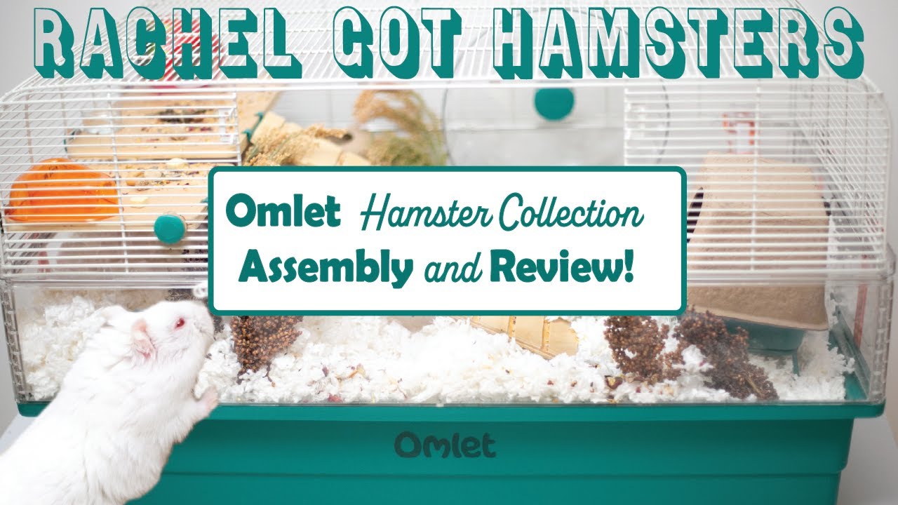 Omlet Hamster Enclosure Assembly & Review!