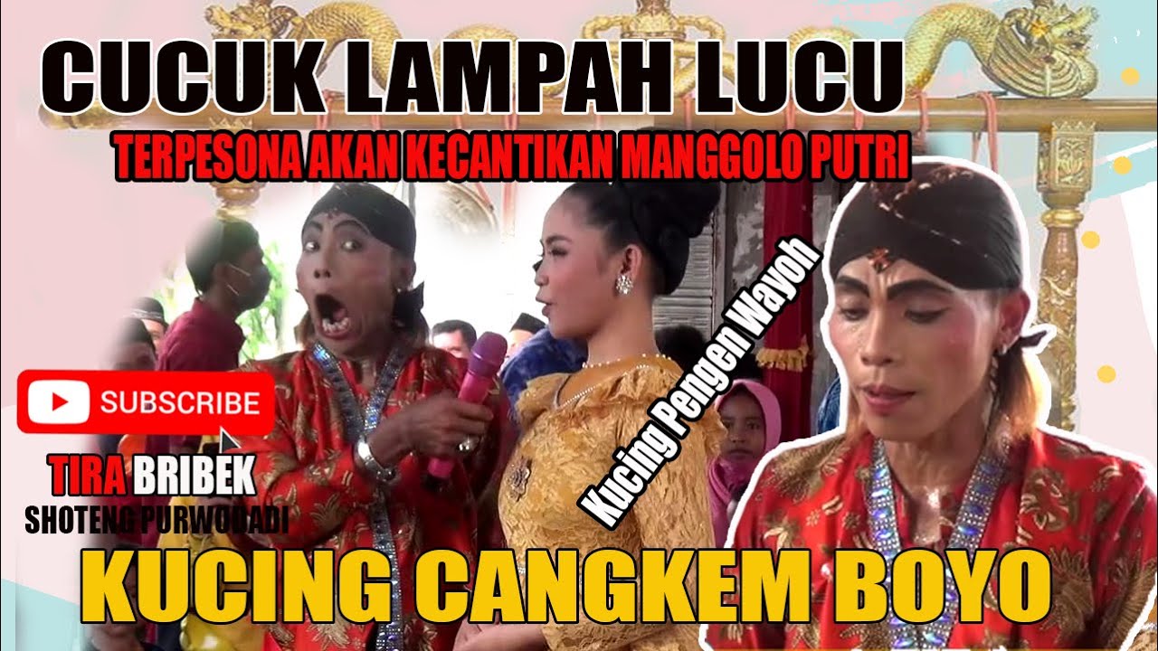 CUCUK LAMPAH LUCU BANGET// PARDI KUCING CANGKEM BOYO