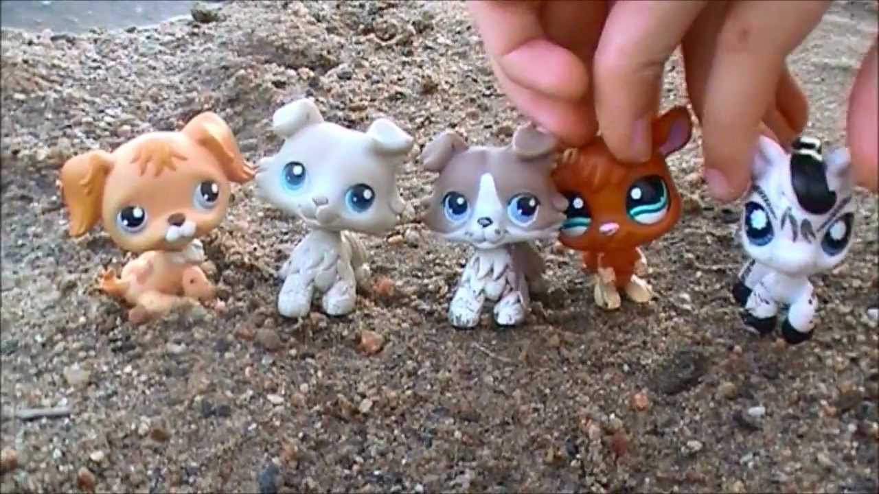 LPS: What Makes You Beautiful - Music Video