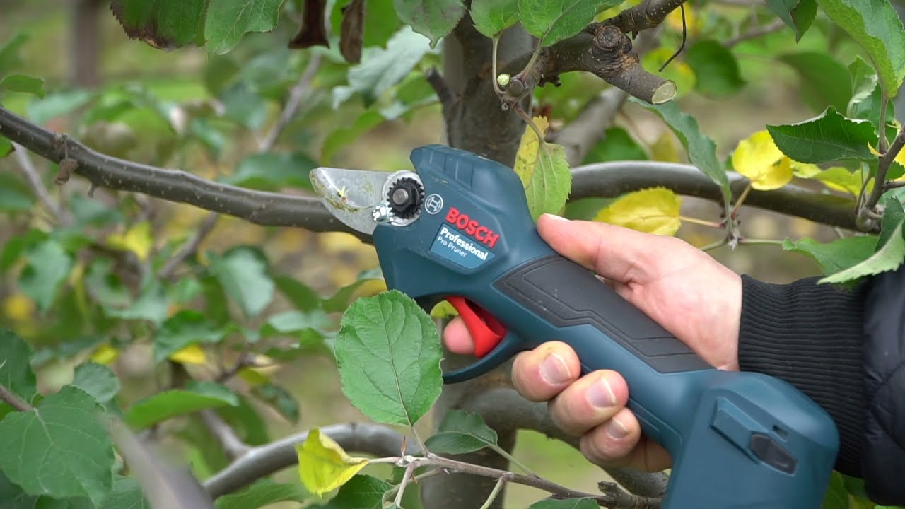 Ten #sekator #elektryczny zaskoczy Cię pozytywnie! #BOSCH Pro Pruner dla sadowników