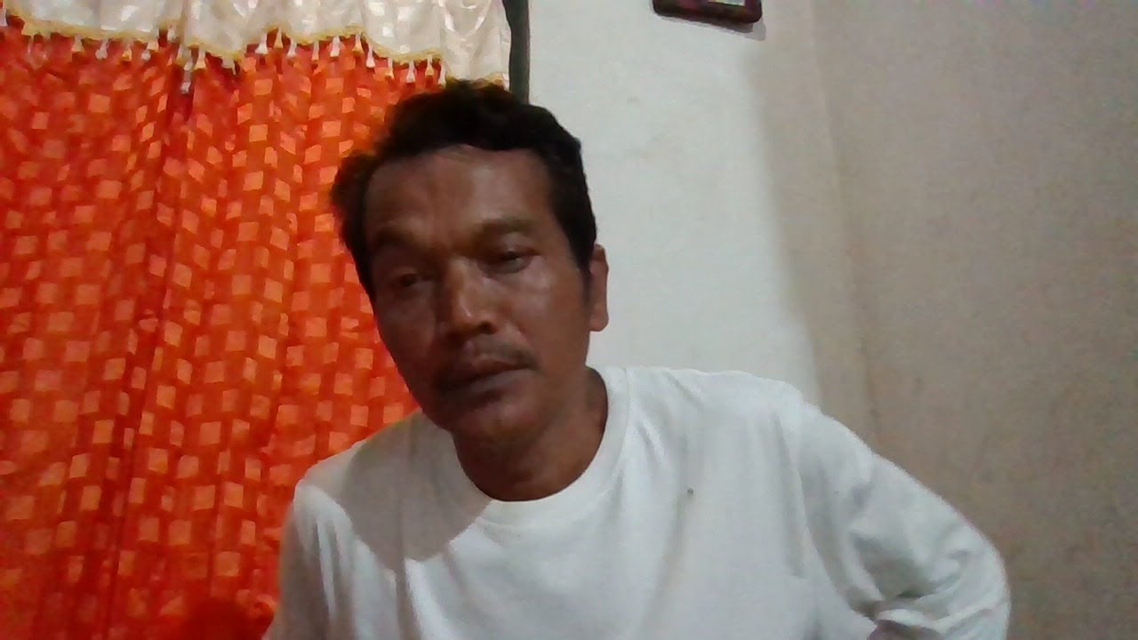 POLA BUDIDAYA MELON KP2M