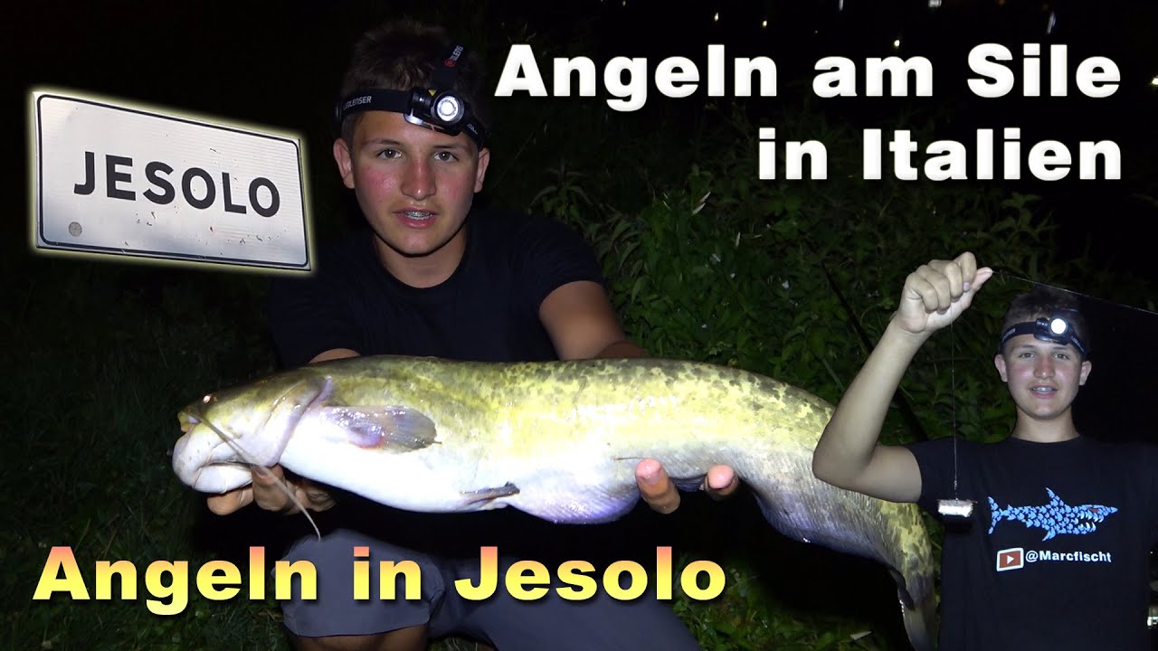 Angeln in Jesolo - Fischen am Fluss Sile in Italien auf Wels und andere Fische im Angelurlaub