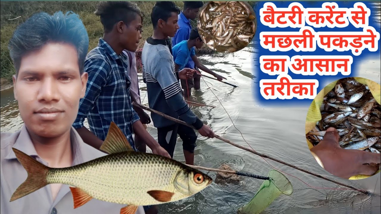 बैटरी, करेंट से मछली पकड़ने का असान तरीका/करेंट से मछली कैसे पकड़ते हैं/How To make Electric fishing