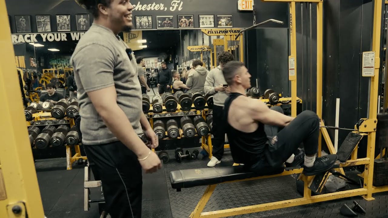 Day 26: Back & Arms