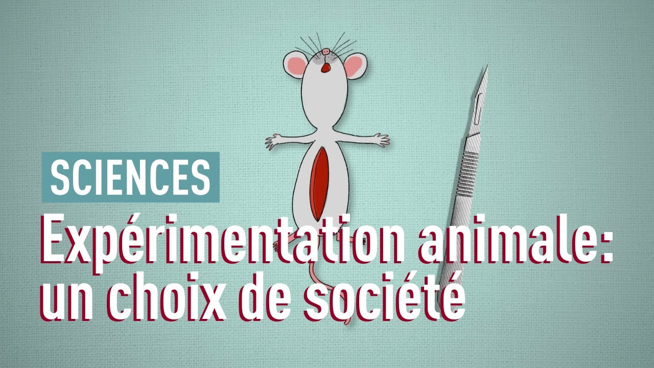 Faut-il se passer de l’expérimentation animale?