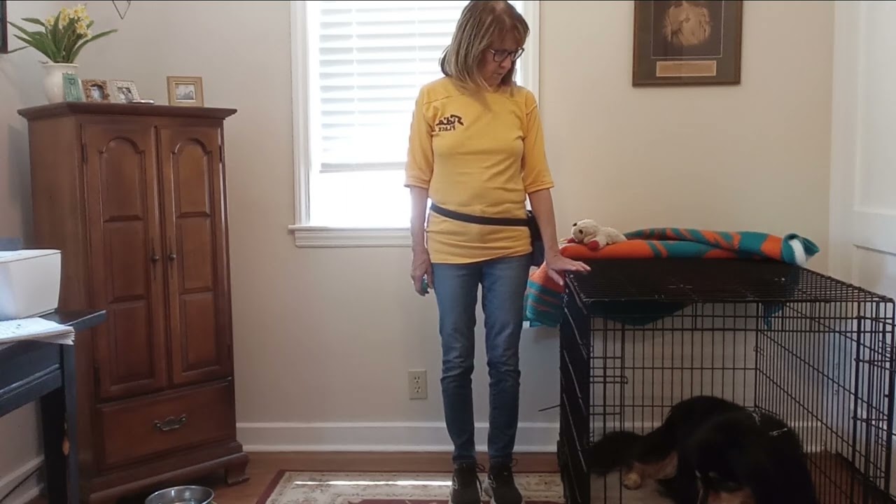 Bear 🐻 - reorienting from crate