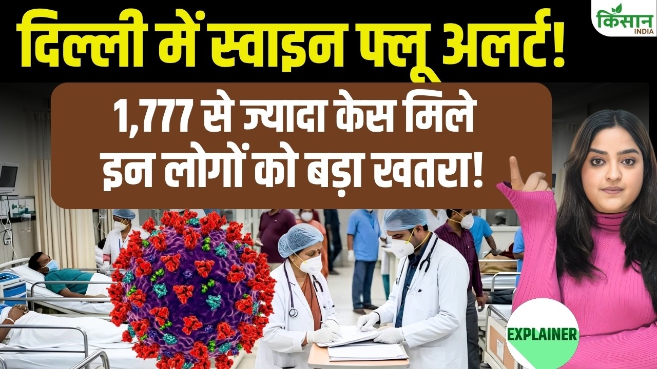 H1N1 Virus: Delhi में h1n1 swine flu का खतरा, 1,777 केस पार, लक्षण, बचाव, सुअर फार्मों में सैंपलिंग