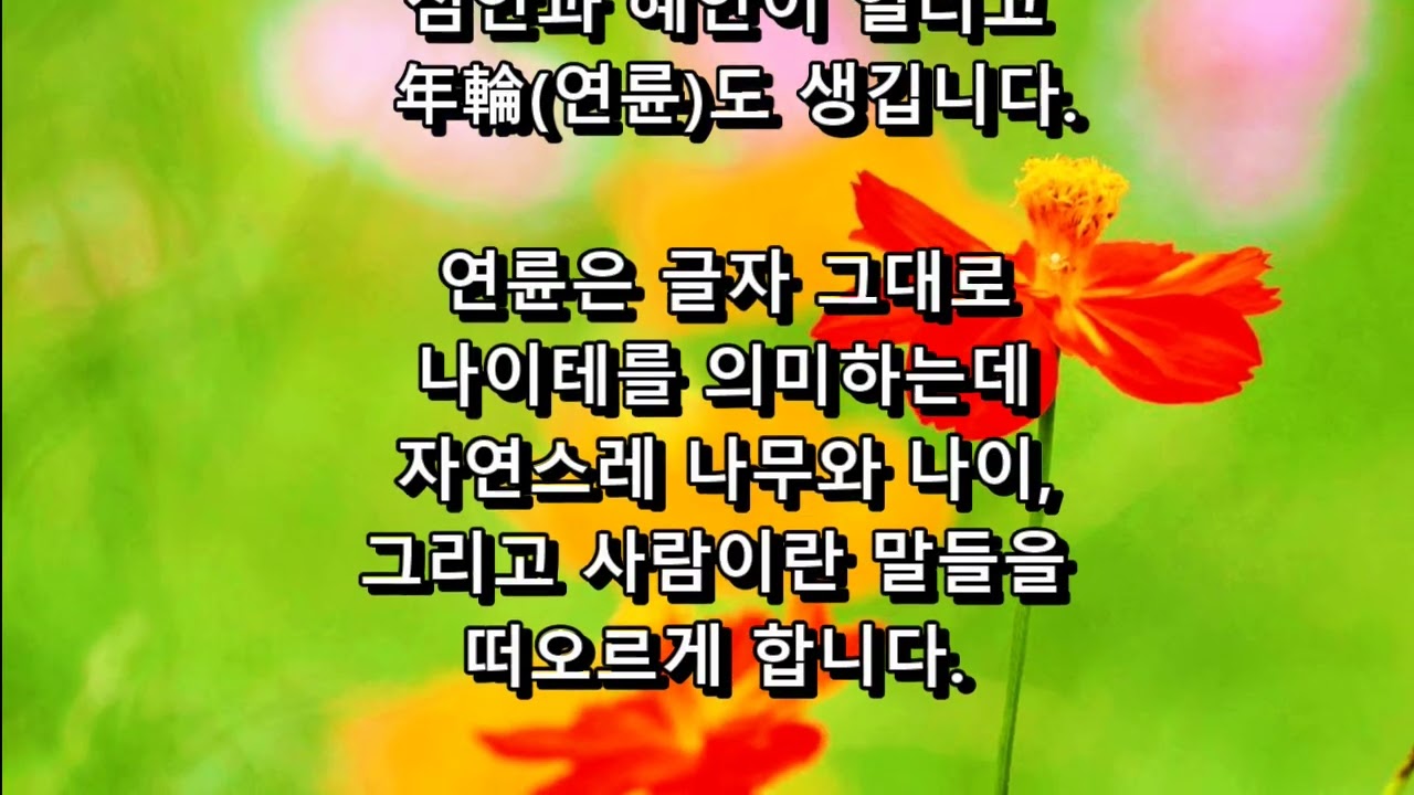 世見二眼(세견이안)