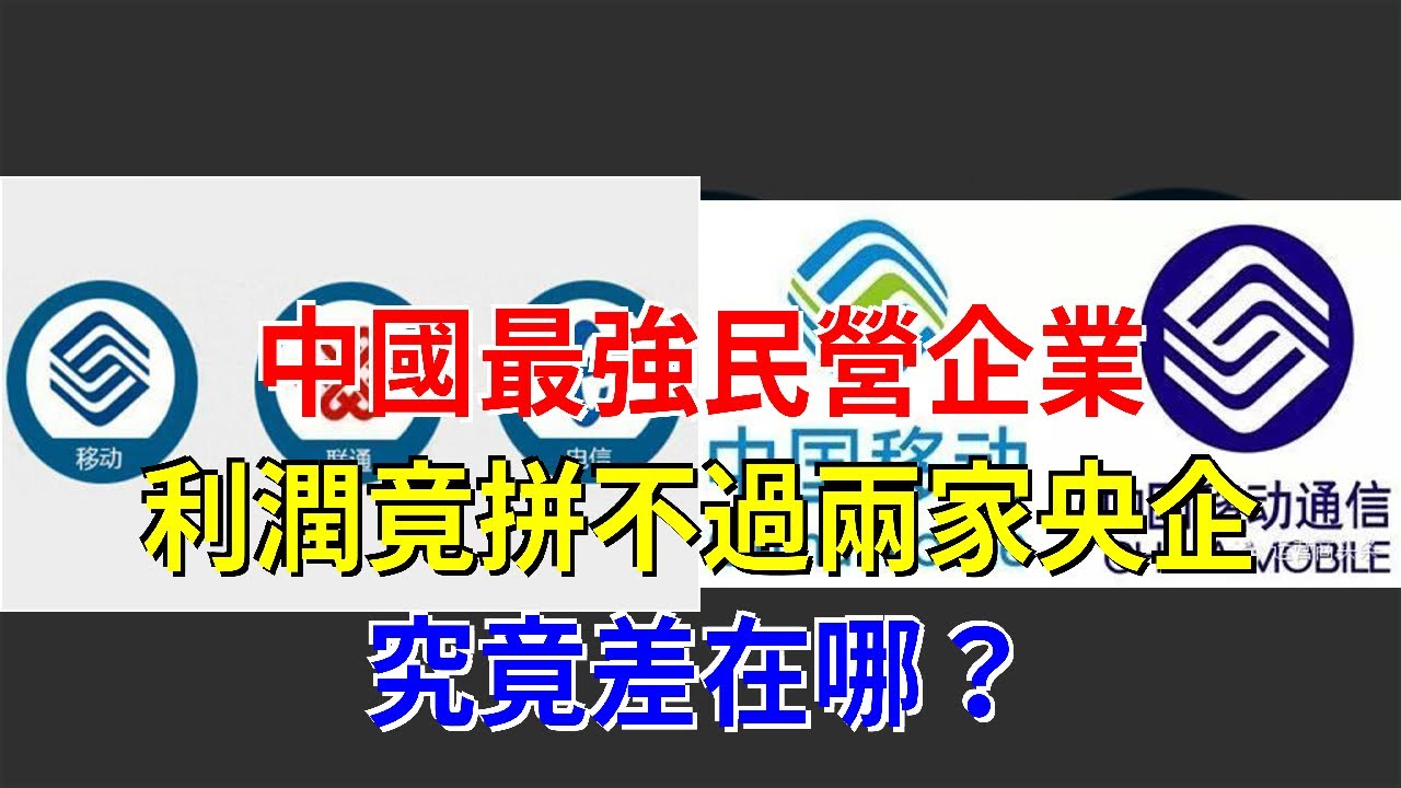 中國最強民營企業利潤竟拼不過兩家央企，究竟差在哪？，[每日財經]